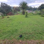 WhatsApp Image 2023-01-09 at 10.26.24 AM