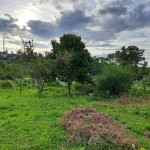 WhatsApp Image 2023-01-09 at 10.26.25 AM (1)