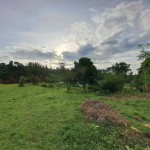 WhatsApp Image 2023-01-09 at 10.26.25 AM