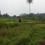 WhatsApp Image 2023-01-09 at 11.05.52 AM