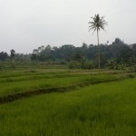 WhatsApp Image 2023-01-09 at 11.05.53 AM