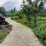 WhatsApp Image 2023-01-09 at 11.05.54 AM