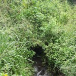 WhatsApp Image 2023-01-09 at 11.05.55 AM (1)