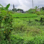 WhatsApp Image 2023-01-09 at 11.05.55 AM