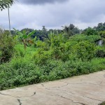 WhatsApp Image 2023-01-09 at 11.05.56 AM