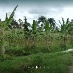 WhatsApp Image 2023-01-16 at 9.35.31 PM