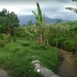 WhatsApp Image 2023-01-16 at 9.35.55 PM