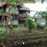 WhatsApp Image 2023-01-16 at 9.36.24 PM