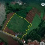 WhatsApp Image 2023-01-16 at 9.37.08 PM