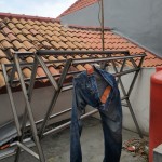 WhatsApp Image 2023-01-17 at 12.57.32 PM (1)