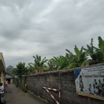 WhatsApp Image 2023-01-17 at 2.36.31 PM (1)