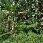 WhatsApp Image 2023-01-22 at 5.20.12 PM (1)