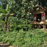 WhatsApp Image 2023-01-22 at 5.20.12 PM