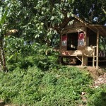 WhatsApp Image 2023-01-22 at 5.20.13 PM (1)