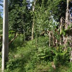 WhatsApp Image 2023-01-22 at 5.20.13 PM