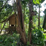 WhatsApp Image 2023-01-22 at 5.20.13 PM (2)