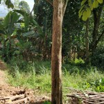 WhatsApp Image 2023-01-22 at 5.20.14 PM (1)