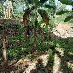 WhatsApp Image 2023-01-22 at 5.20.14 PM