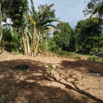 WhatsApp Image 2023-01-22 at 5.20.15 PM (1)