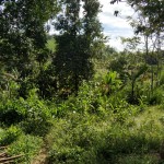 WhatsApp Image 2023-01-22 at 5.20.15 PM