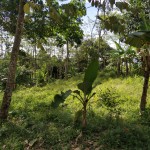 WhatsApp Image 2023-01-22 at 5.20.16 PM