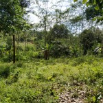 WhatsApp Image 2023-01-22 at 5.20.51 PM (1)