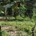 WhatsApp Image 2023-01-22 at 5.20.51 PM