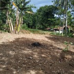 WhatsApp Image 2023-01-22 at 5.20.52 PM (1)