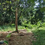 WhatsApp Image 2023-01-22 at 5.20.52 PM