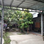 WhatsApp Image 2023-01-31 at 3.03.28 PM