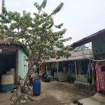 WhatsApp Image 2023-01-31 at 3.03.29 PM (2)