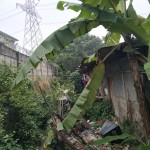 WhatsApp Image 2023-01-31 at 3.03.31 PM