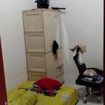 WhatsApp Image 2023-02-02 at 2.00.02 PM