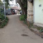 WhatsApp Image 2023-02-02 at 4.50.09 PM