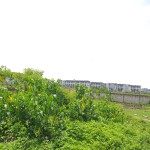 WhatsApp Image 2023-02-08 at 2.25.48 PM (1)