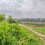 WhatsApp Image 2023-02-08 at 2.25.48 PM