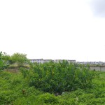 WhatsApp Image 2023-02-08 at 2.25.48 PM (2)