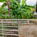 WhatsApp Image 2023-02-08 at 2.25.56 PM