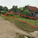 WhatsApp Image 2023-02-08 at 2.25.57 PM (1)