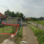 WhatsApp Image 2023-02-08 at 2.25.58 PM