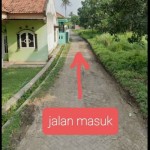 WhatsApp Image 2023-02-08 at 2.25.59 PM