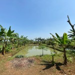 WhatsApp Image 2023-02-09 at 4.06.15 PM (1)