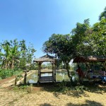 WhatsApp Image 2023-02-09 at 4.06.15 PM (2)