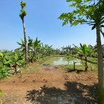 WhatsApp Image 2023-02-09 at 4.06.16 PM (1)