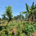 WhatsApp Image 2023-02-09 at 4.06.16 PM