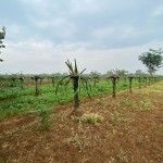 WhatsApp Image 2023-02-09 at 4.06.17 PM (1)