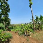 WhatsApp Image 2023-02-09 at 4.06.17 PM