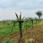 WhatsApp Image 2023-02-09 at 4.06.17 PM (2)