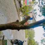 WhatsApp Image 2023-02-10 at 12.56.37 PM