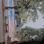 WhatsApp Image 2023-02-10 at 12.56.38 PM (1)